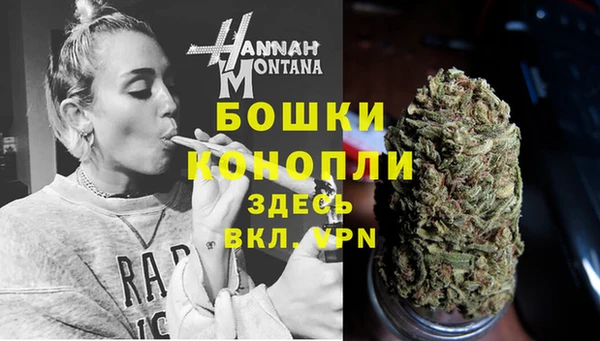 сатива Валдай