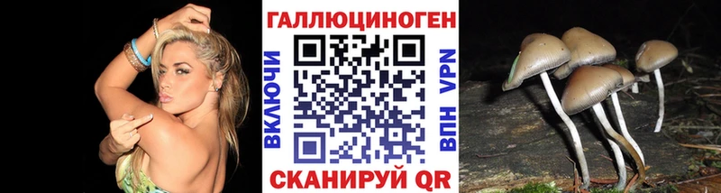 Галлюциногенные грибы мицелий  купить наркотики сайты  Кингисепп 