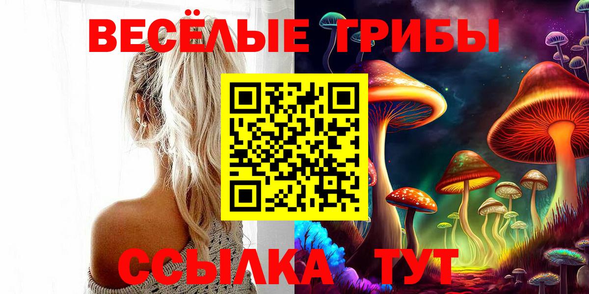 Кингисепп  где можно купить   Вход с VPN  Галлюциногенные грибы мухоморы 