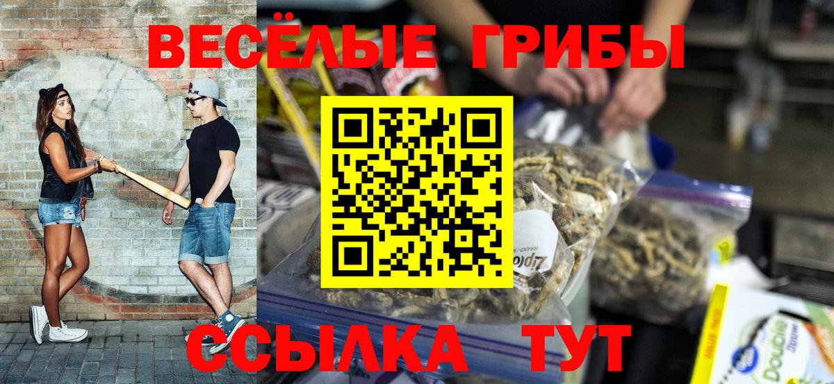 Псилоцибиновые грибы Psilocybine cubensis Кингисепп